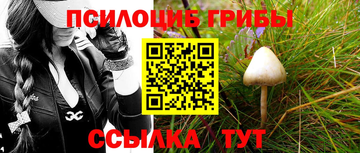 Галлюциногенные грибы Magic Shrooms  Вход с VPN  Кизляр 